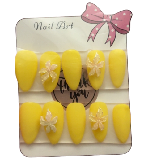 Pre Made Press on Nails